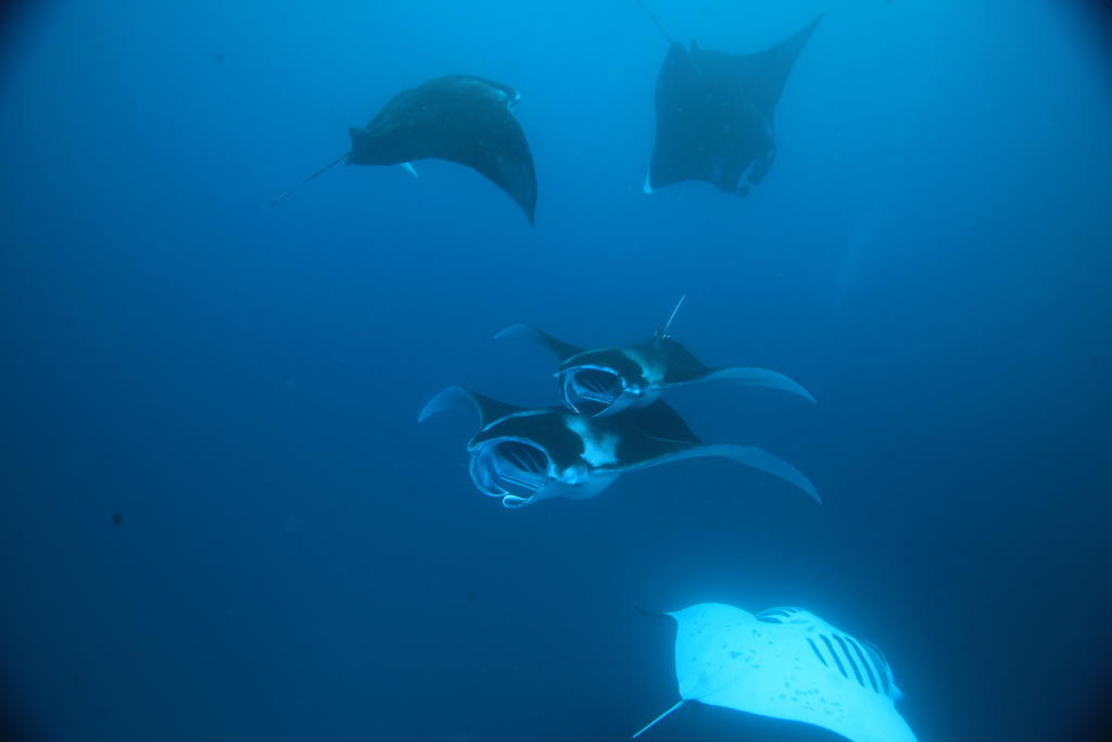 ホテル セレーヌ スカイ ゲスト ハウス ソドゥー エクステリア 写真